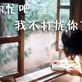 晚安—你忙吧,我不打扰你了