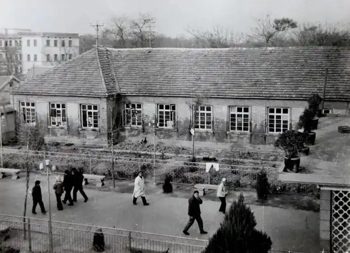 医院老大门(位于现北门处,90年代初改造,大门南移拆除)▲60年代医院