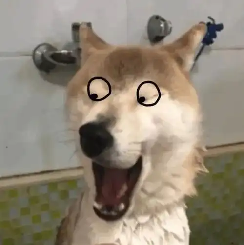 会被好友拉黑的沙雕头像