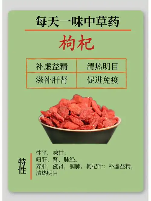 中草药滋肾补肝,润肺,明目枸杞子入肝经,肾经,具有滋肾补肝的功效