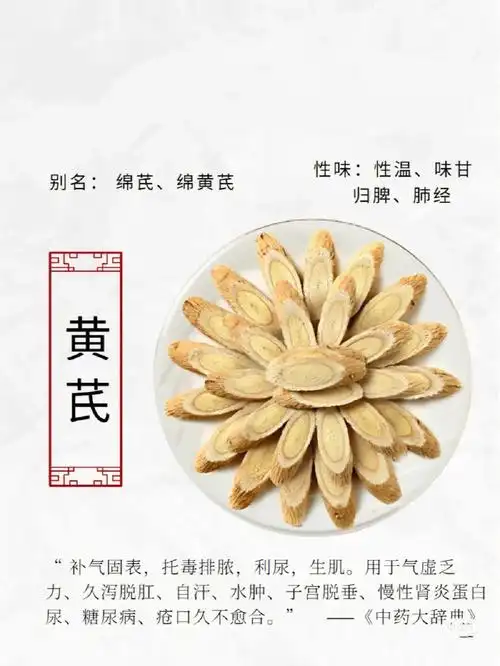 长白山野生黄芪