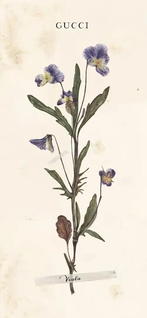 gucci夏日花语限定壁纸官网下载