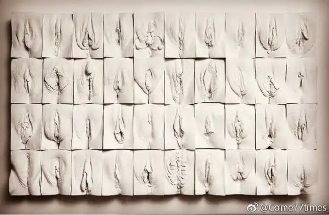 女性生殖器官科普