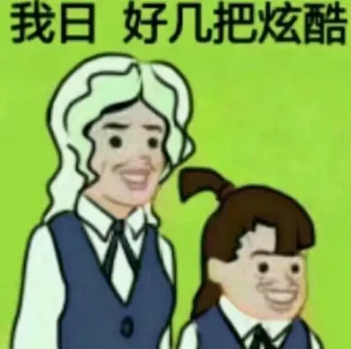 我日好几把炫酷_表情包_斗图图片