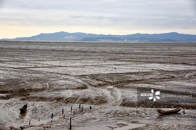 浙江温州:冬日滩涂美如画
