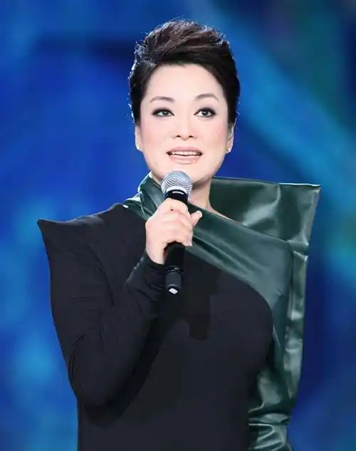 毛阿敏,因偷税漏税压力崩溃,父亲险些哭瞎,今57岁怎样了_谷建芬_观众