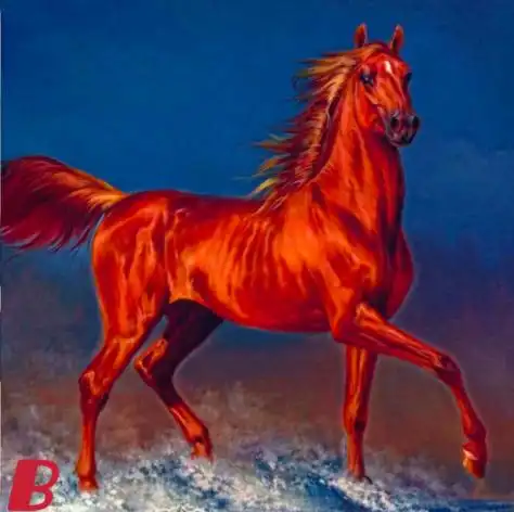 心理学哪匹马才是汗血宝马测出你天生的财商有几分