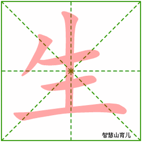 生的笔顺拼音及解释