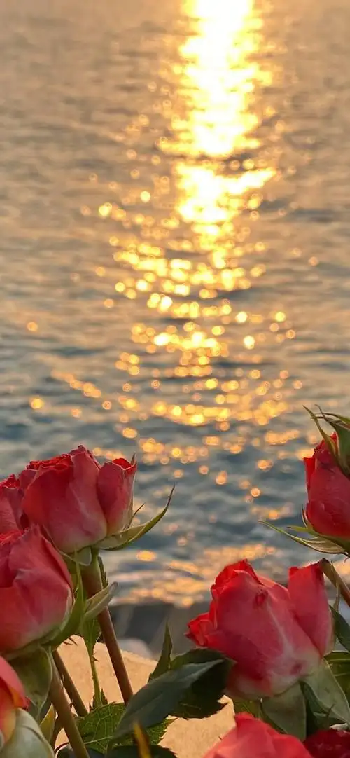 求高清风景壁纸要那种落日余晖的竖屏的