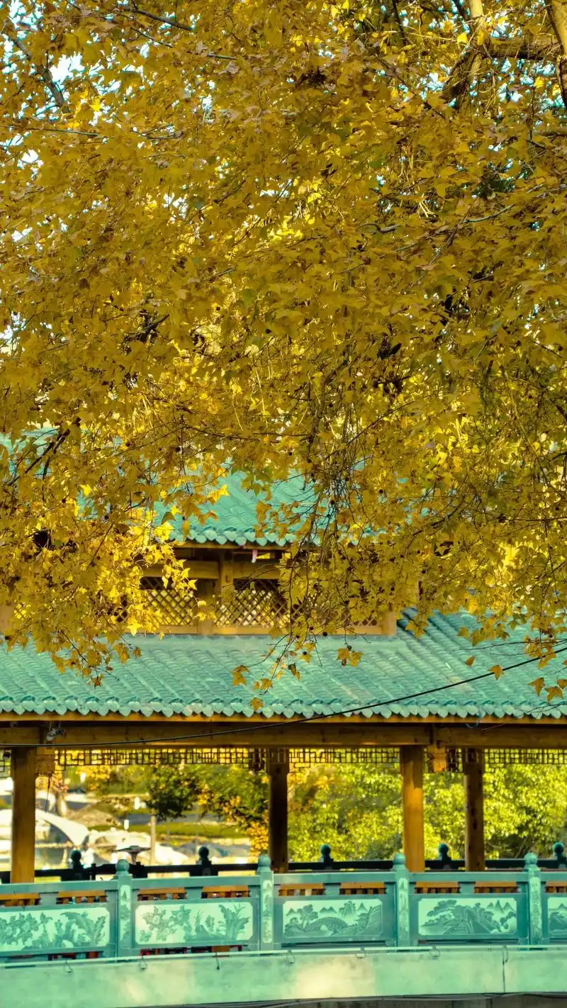 美丽的风景不只在远方,这里是福安甘棠倪下村.#身边风景 #治 - 抖音