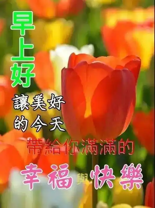 9张最新有创意的亲人朋友早上好祝福语表情图片带字 免打字的早安问候