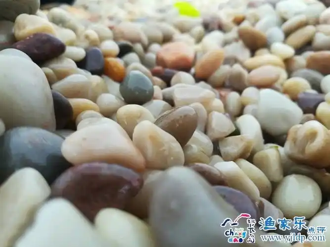 长岛月牙湾鹅卵石可以捡走吗长岛旅游问答长岛渔家乐点评网