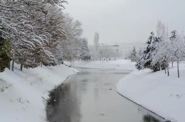 今年天气异常炎热,引发对冬季温度的猜想.
