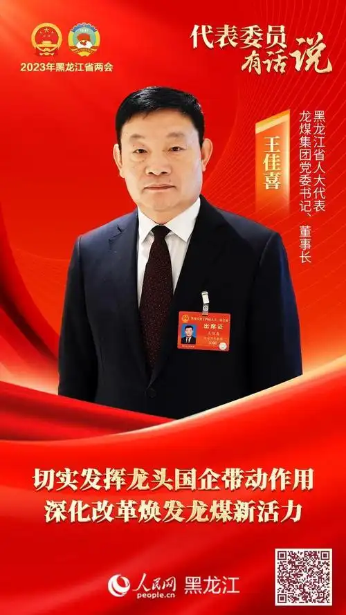 「两会@你」黑龙江省人大代表王佳喜:切实发挥龙头国
