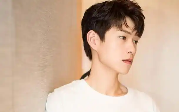 魏大勋是一位中国内地男演员和歌手,出生于1989年4月12日,毕业于中央