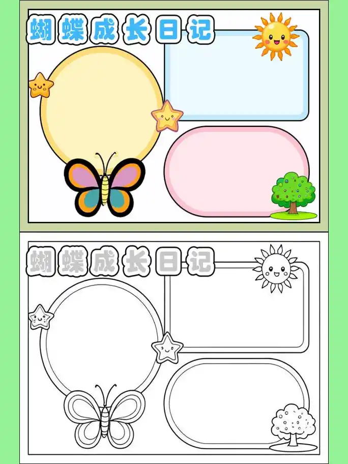 蝴蝶生长过程手抄报