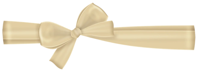 绳索蝴蝶结装饰等png免抠图素材理睬