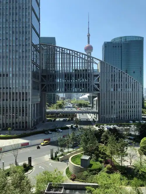 上海浦东文华东方酒店-入坑飞客的契机