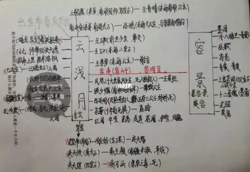 《纨绔世子妃》人物关系图