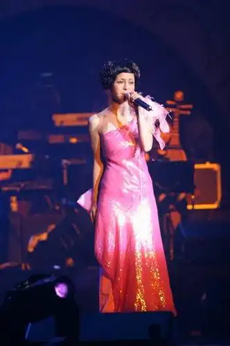 高胜美北京演唱会真情真义"美不胜收"(组图)