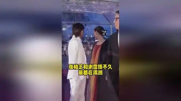 张柏芝或许怀四胎了孩子生父又是他|记者_网易视频