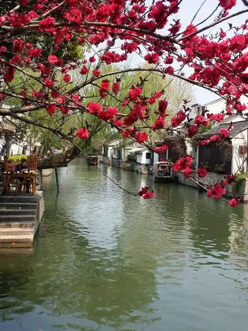 山水杭州春之记忆