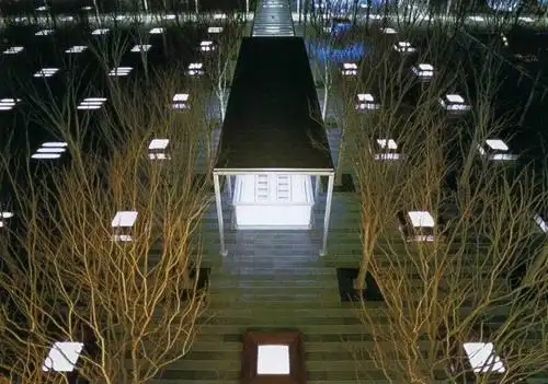 佐佐木叶二与他的榉树广场(组图)