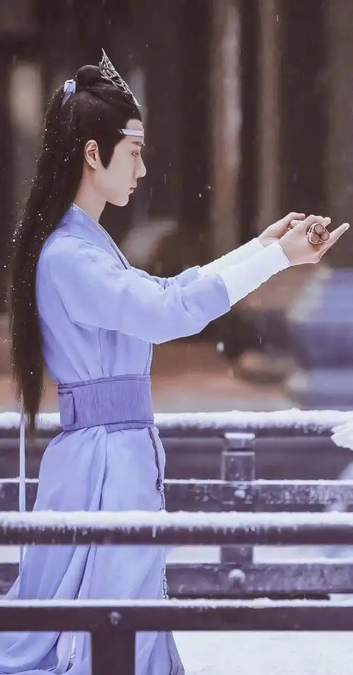 陈情令蓝忘机 7815