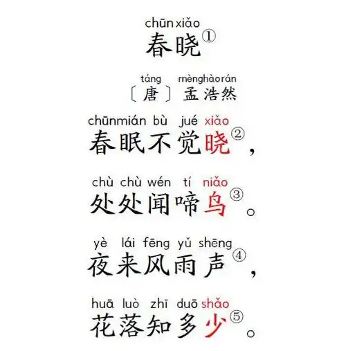 【国学课堂】小学生必背古诗:春晓