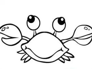 梭子蟹图片_简笔画图片_少儿图库_儿童资源网