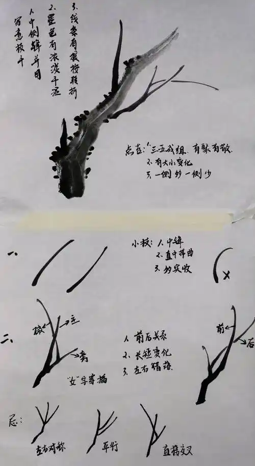 国画基础入门梅