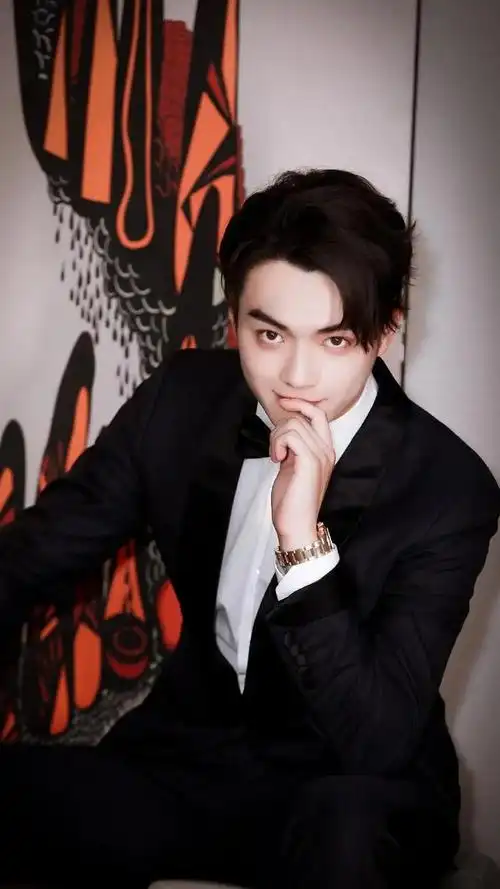 明星许凯代言费是多少/许凯代言过哪些品牌