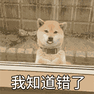 表情包沙雕表情包