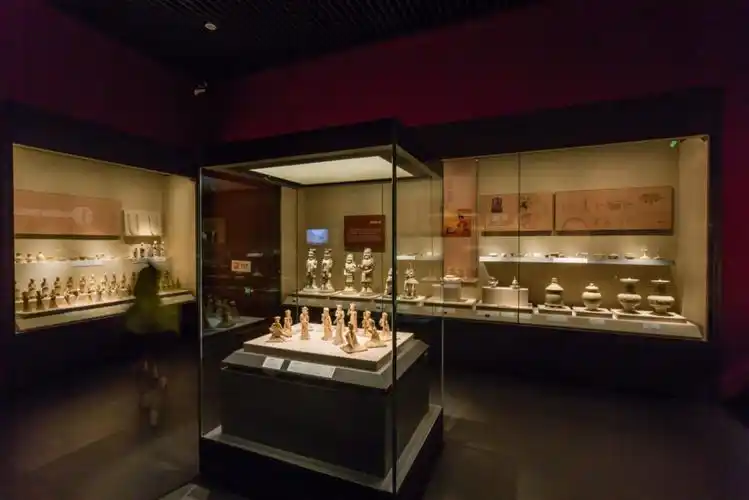 博物馆文物展柜.png
