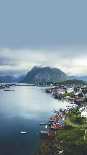 蓝环章鱼王从宁馨郁金香转采于2021-12-20 10:55:48风景场景参考风景