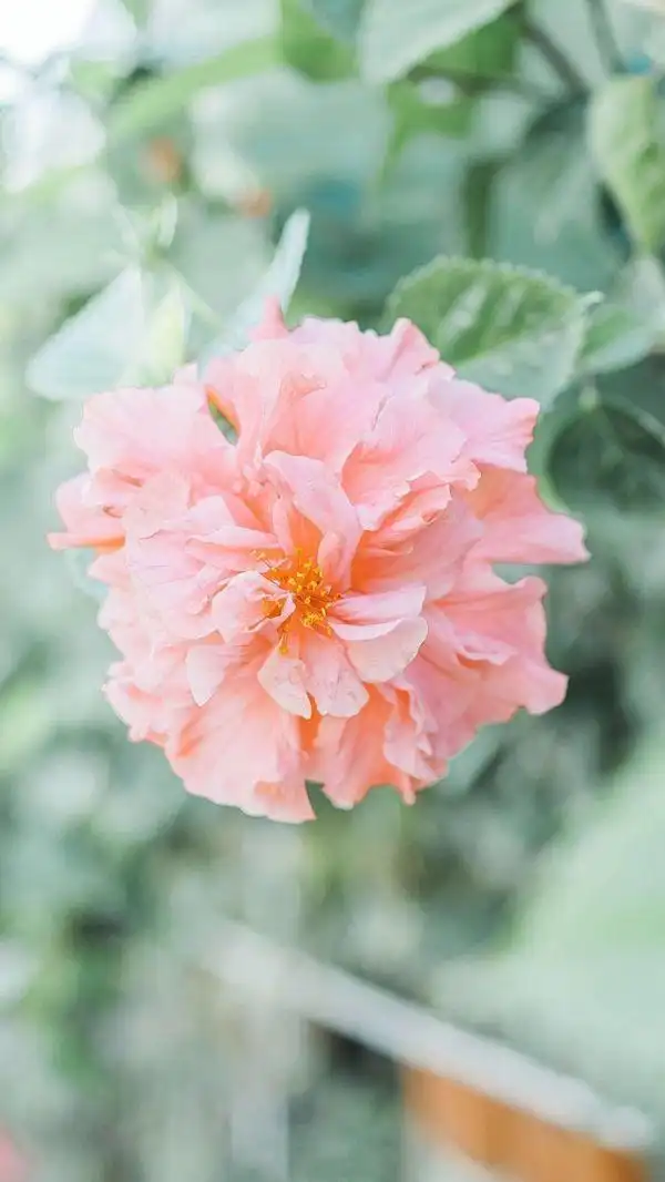 小清新唯美景物图片_唯美图片_我要个性网