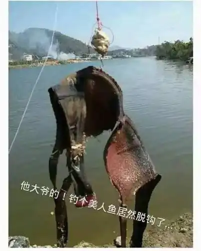 钓鱼qq图片钓鱼搞笑动态图片大全