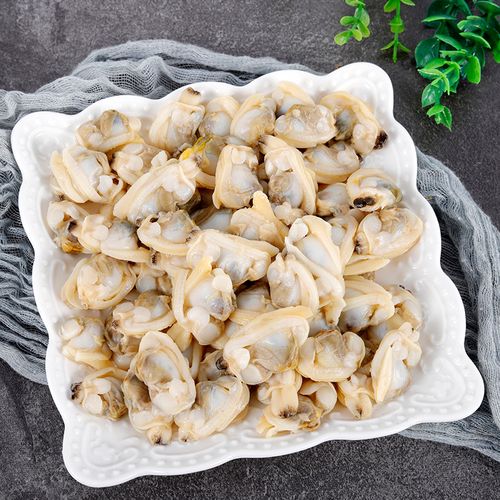 现剥新鲜蛤蜊肉嘎拉肉大花甲肉花蛤肉海鲜鲜活贝类制品