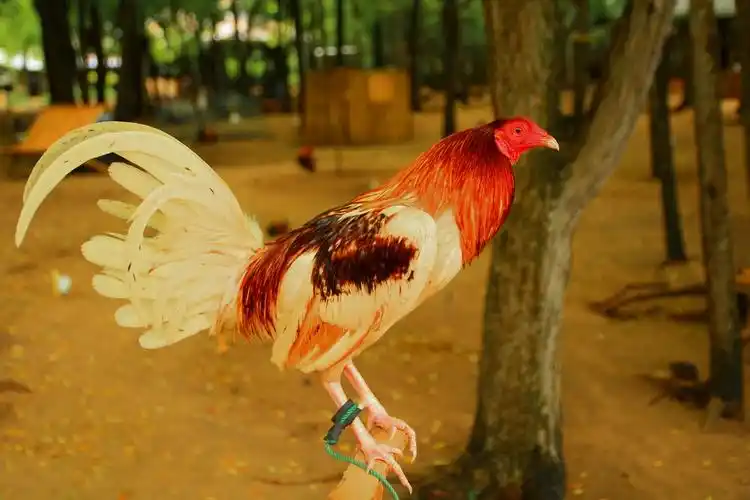 原图欣赏-太平洋摄影部落