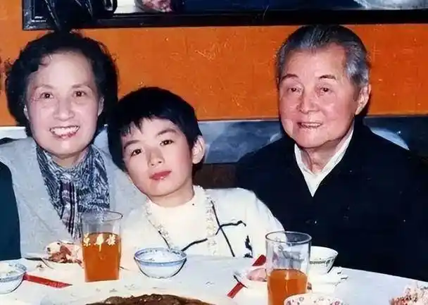 回顾8位著名的上海籍中年女演员:美丽背后,各有各的酸甜苦辣