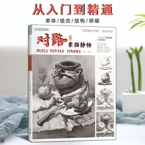 对路素描静物  基础入门对画临摹范本单体组合结构照片美院经典顶配
