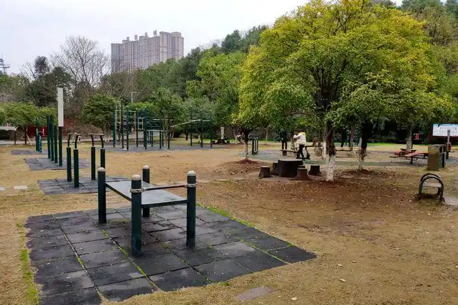 正月十七往日喧嚣的衡阳平湖公园寂静得能听见鸟声