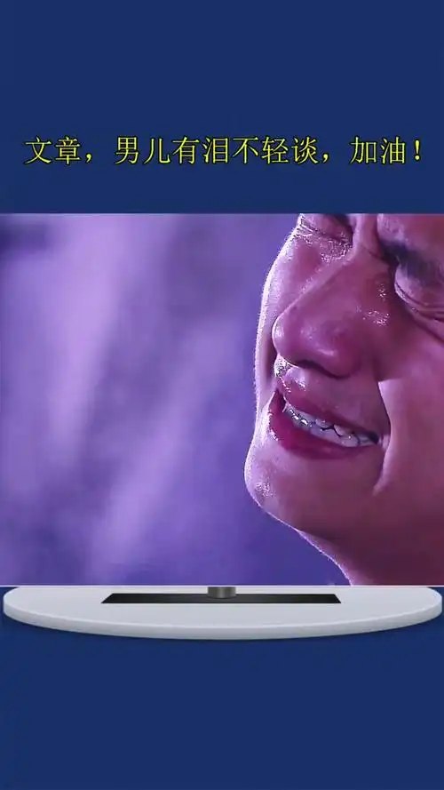 文章哭戏演技怎么样?你来评价