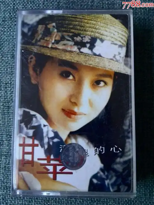 甘萍演唱专辑潮湿的心