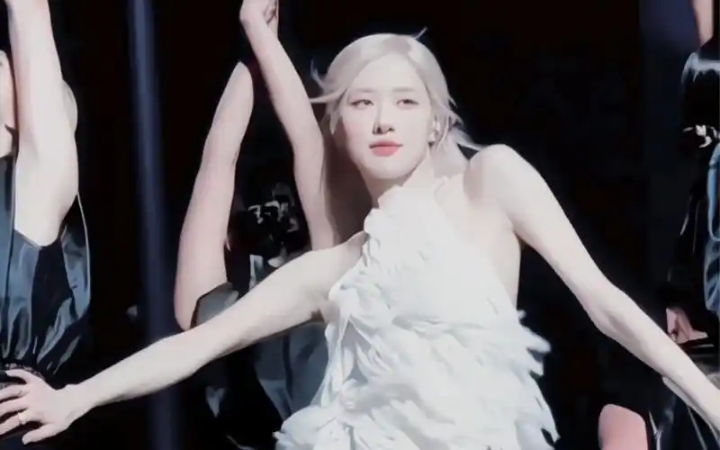 澳洲野玫瑰rose朴彩英