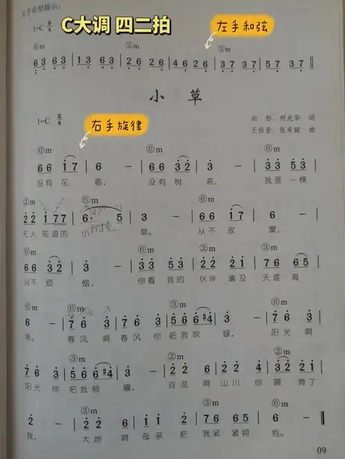 幼儿歌曲简谱《小草》