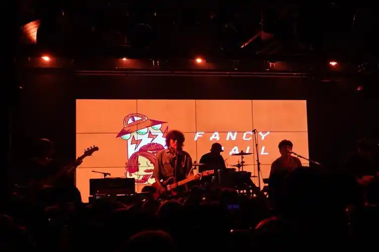 宝藏乐队搜索花墙fancywall