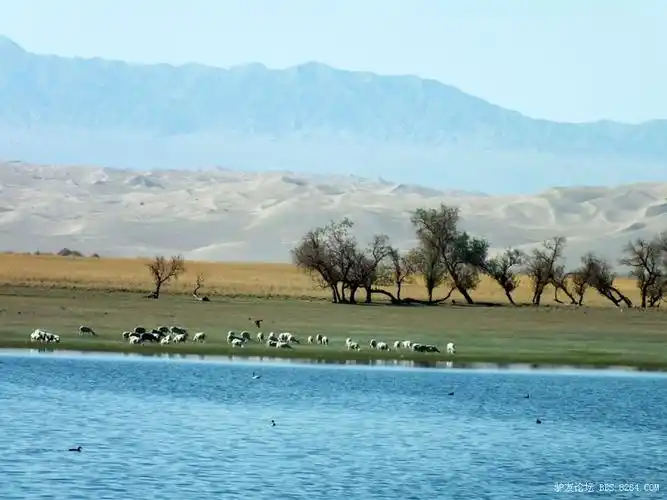 游记之阳关渥洼池