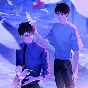 飞鸥不下钢琴谱周锐降d调流行钢琴五线谱