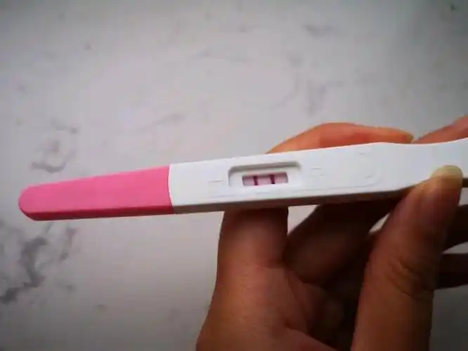 验孕棒的显示区淋上尿液了